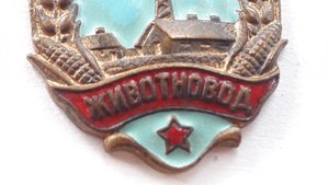 Знак Почетный донор СССР с документом