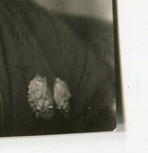 Казак, кавалерист? Знак Герой Рев движения.