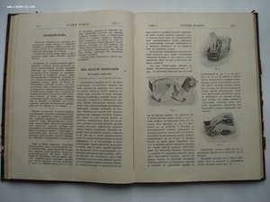 Годовая подшивка журналов Русский Турист за 1903 г СОСТОЯНИЕ