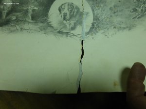 Императорское общество размножения животных. Золотая медаль.