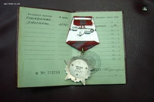 ОР на доке - 29***