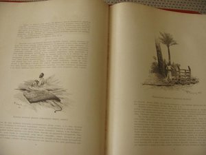 Старинная книга "Палестина". 1898 год.