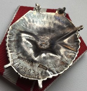 БКЗ 125ххх "солнечник" на разведчика