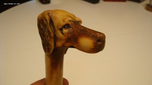 Ручка на трость.Голова собаки.Кость.
