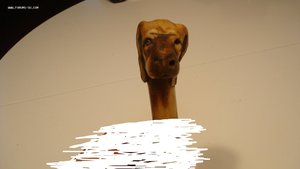 Ручка на трость.Голова собаки.Кость.