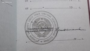 Орден За службу родине на вертолетчика Афганистан