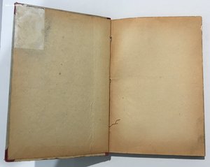 "По киргизской степи. Путевые очерки". Дм. Львович. 1914 г.