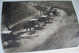 Чехословацкий легионер в России: Od Zborova k Bachmači, 1938