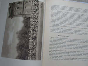 Чехословацкий легионер в России: Od Zborova k Bachmači, 1938