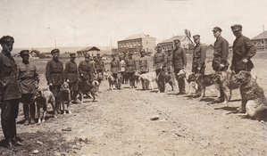 Военные кинологи со своими питомцами. 1930-е годы.