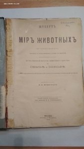 Шуберт. Мир животных. 1914 г.