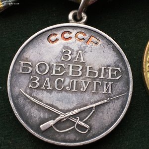 КЗ №3115006,БЗ №141707,Красная ЗПНГ,Заполярье,20лет ВС,сер.