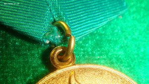 10 лет саурской революции