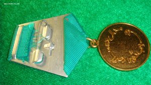 10 лет саурской революции