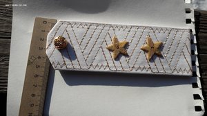 Погоны Украина Генерал-лейтенант