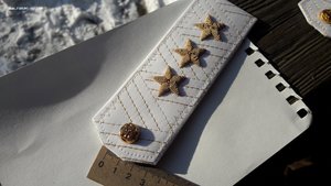 Погоны Украина Генерал-полковник