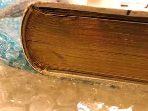 Дума за думой: Памятная книга на каждый день.Год 1885