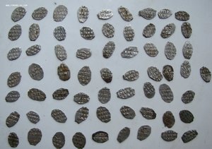 Чещуя Петра 1 64 шт из клада .