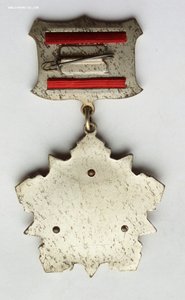 Орден Дружба народов, Афганистан, серебро. (1)