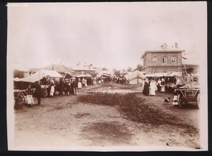 Альбом с фотографиями, виды Тверской губернии.