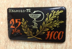 Знак 25 лет НСО Палех