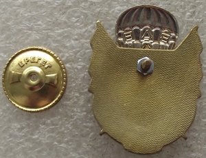знак 80 лет ВДВ.