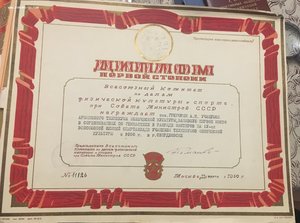 Диплом спорта 30 шт