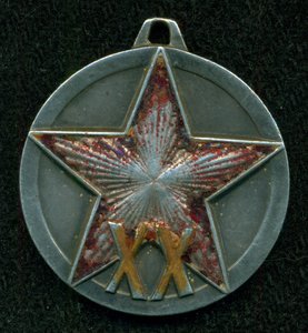 ХХ лет РККА
