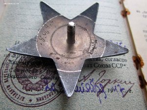 КЗ мзпп (полкейма) + .. на Партизана,пом. Знаменосца!