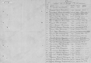 БКЗ дубликат на краснофлотца в люксе