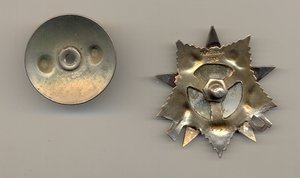 ОВ 1 ст. посмертная