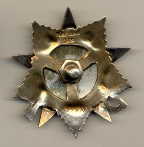 ОВ 1 ст. посмертная