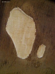 Классический портрет 1894 год