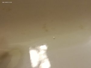 Квадратной блюдо - салатник. Waffen SS.