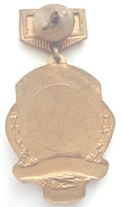 Знак Чемпион Красноярского края по стрельбе.