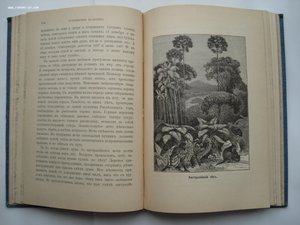 Самуил Смайльс. Путешествие мальчика вокруг света. 1898 год