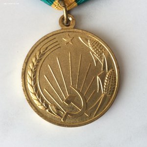 Целина