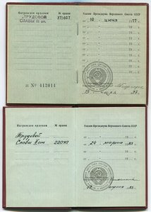 Трудовые Славы 3 и 2 ст. с док.