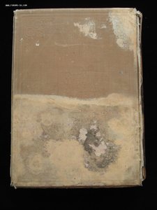 Святая Земля и Библия. Описание Палестины. 1894 год. РАРИТЕТ