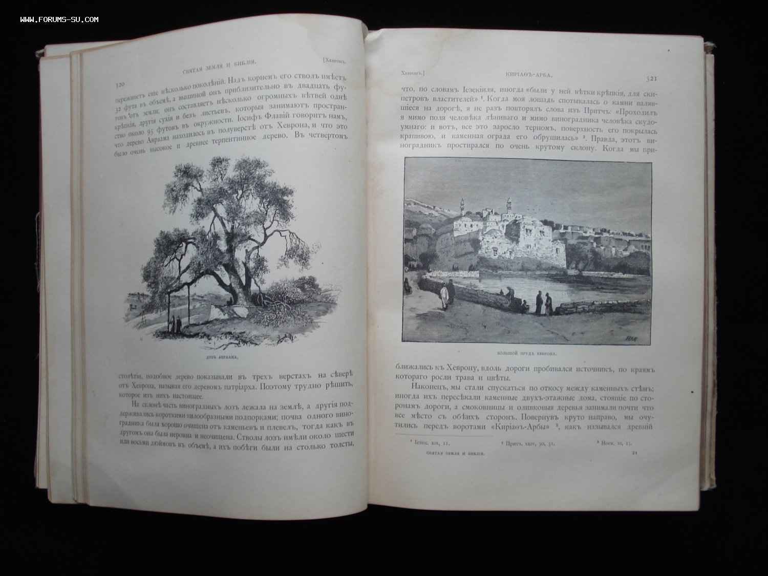 Святая Земля и Библия. Описание Палестины. 1894 год. РАРИТЕТ