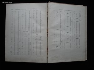 Святая Земля и Библия. Описание Палестины. 1894 год. РАРИТЕТ