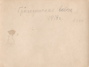 Пограничники? 1930-е годы. "Мосинки".