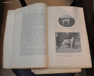 Подборка журнала "Наша охота" 1916г.-8 номеров.