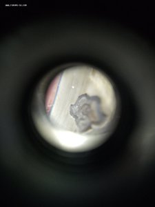 Подстаканник. Серебро 875 пр. Гравировка, чернь