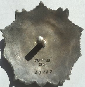 Орден Александра Невского за Венгрию