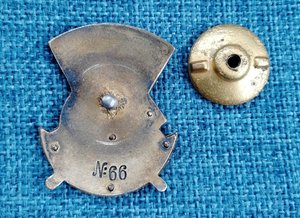 Отличнику здравоохранения N6. R.