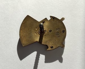 Отличнику здравоохранения N6. R.