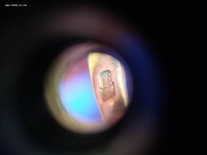 Серьги, кольцо. Золото 583. Барочный жемчуг