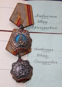 Труд. Славы 2 ст.и 3 ст. + доки  на одного