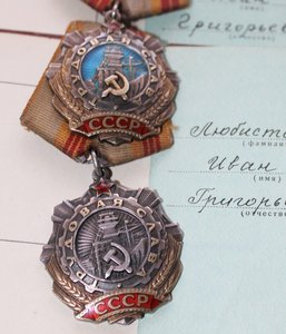 Труд. Славы 2 ст.и 3 ст. + доки  на одного